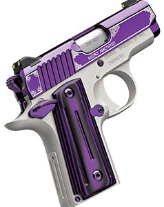 KIMBER MICRO AMETHYST 380ACP 2.75 NS
