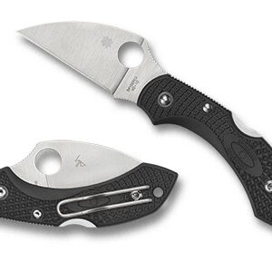 Spyderco Dragonfly 2 Lockback